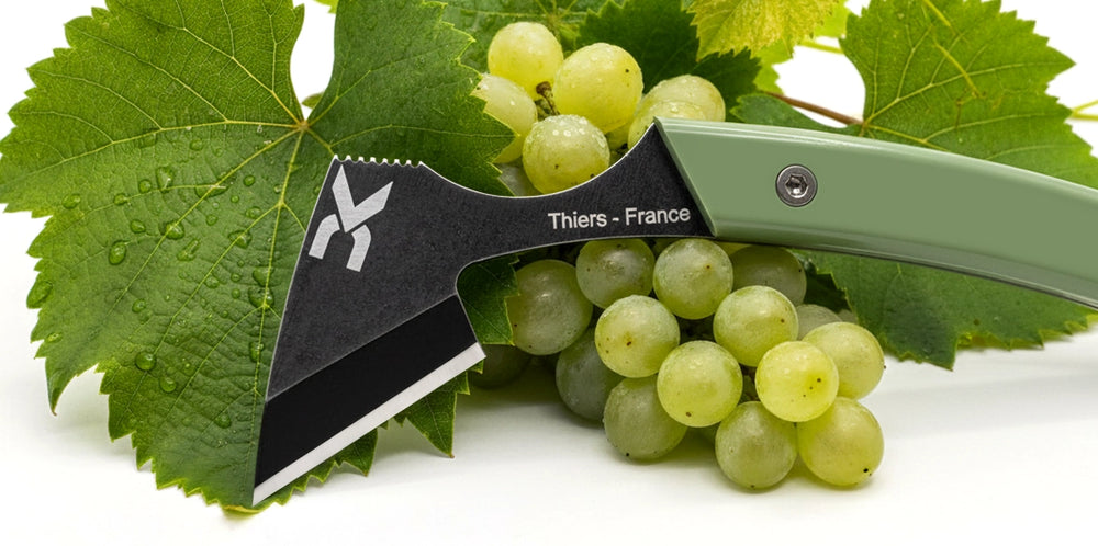 DKpsuleur Feuille de vigne, raisin